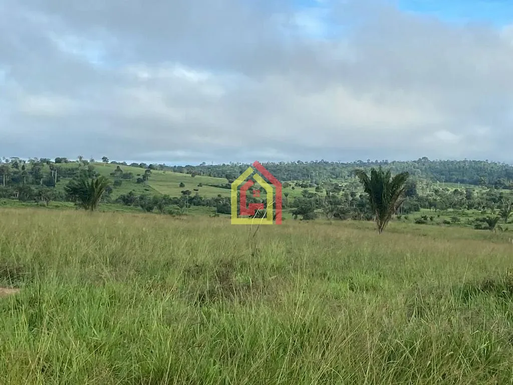 Rural à venda com 9196000m² de terreno no Fazenda, Breu Branco (PA) — foto 12 de 16