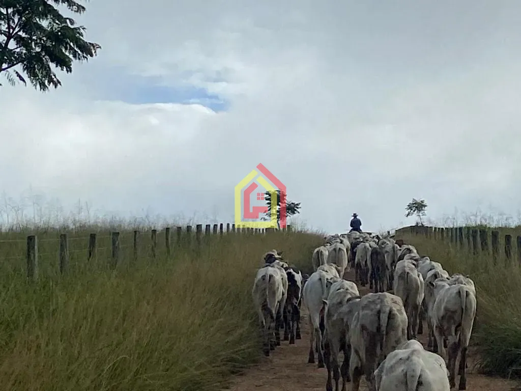 Rural à venda com 9196000m² de terreno no Fazenda, Breu Branco (PA) — foto 13 de 16