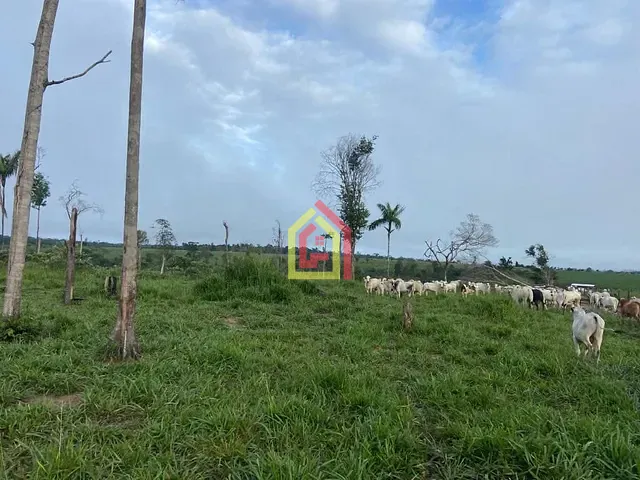 Fazenda com 9196000m², à venda, no bairro Fazenda em Breu Branco