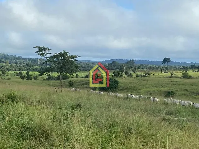 Fazenda com 9196000m², à venda, no bairro Fazenda em Breu Branco
