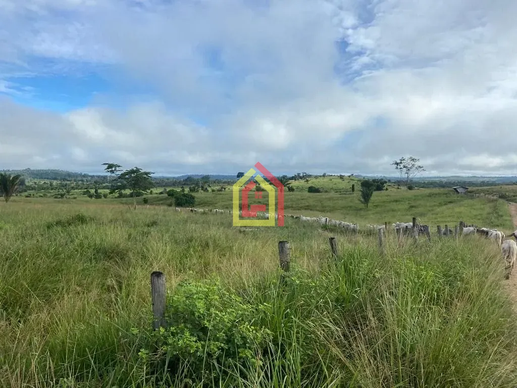 Rural à venda com 9196000m² de terreno no Fazenda, Breu Branco (PA) — foto 10 de 16