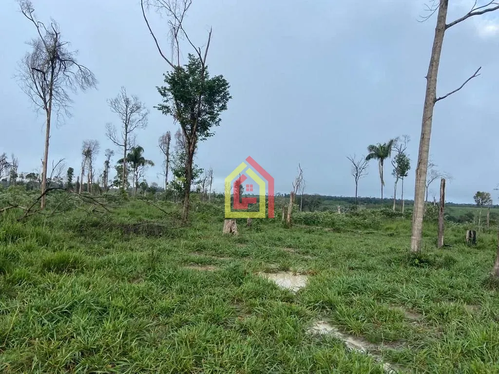 Rural à venda com 9196000m² de terreno no Fazenda, Breu Branco (PA) — foto 7 de 16