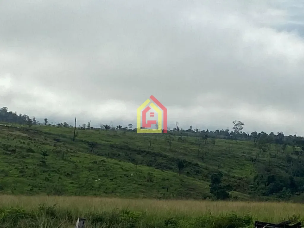 Rural à venda com 9196000m² de terreno no Fazenda, Breu Branco (PA) — foto 9 de 16
