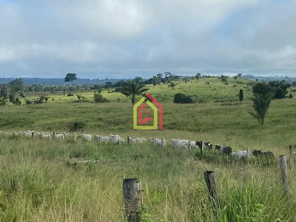 Rural à venda com 9196000m² de terreno no Fazenda, Breu Branco (PA) — foto 11 de 16