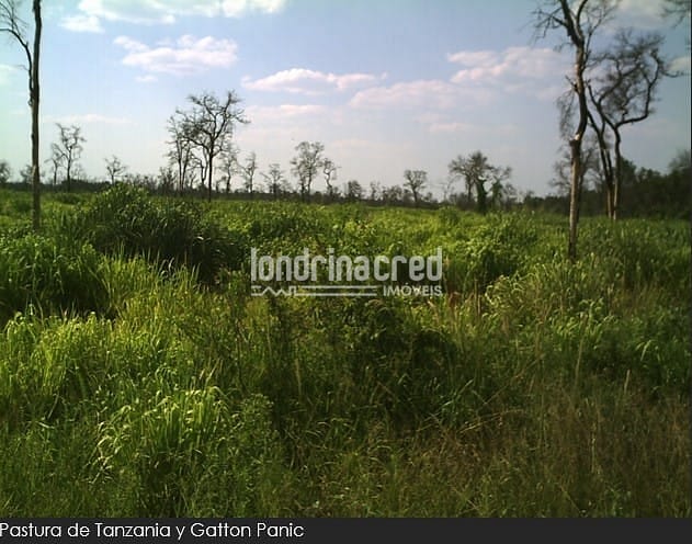 Fazenda, 10 m² - Foto 2