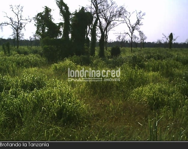 Fazenda, 10 m² - Foto 4