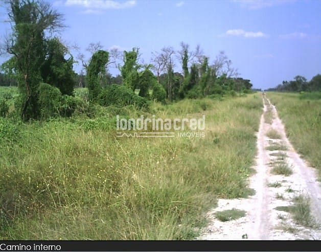 Fazenda, 10 m² - Foto 5