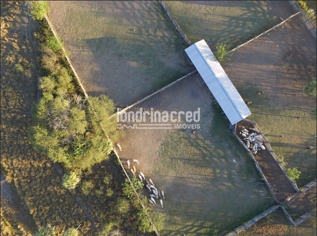 Fazenda, 10 m² - Foto 10