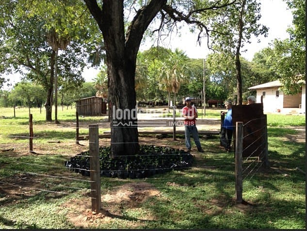 Fazenda, 10 m² - Foto 15