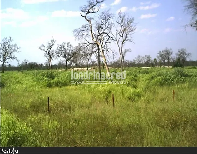 Fazenda, 10 m² - Foto 3