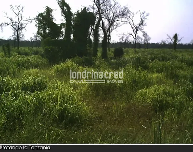 Fazenda, 10 m² - Foto 4