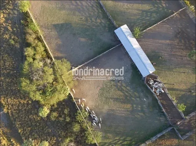 Fazenda, 10 m² - Foto 10