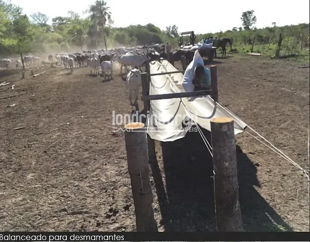 Fazenda, 10 m² - Foto 11