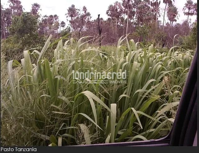 Fazenda, 10 m² - Foto 22