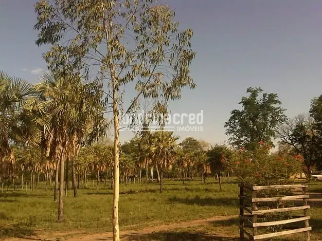 Fazenda, 10 m² - Foto 26