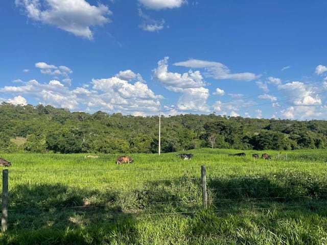Fazenda com 732000m² 3 quartos e 2 banheiros, à venda, no bairro ZONA RURAL em São Miguel do Passa Quatro