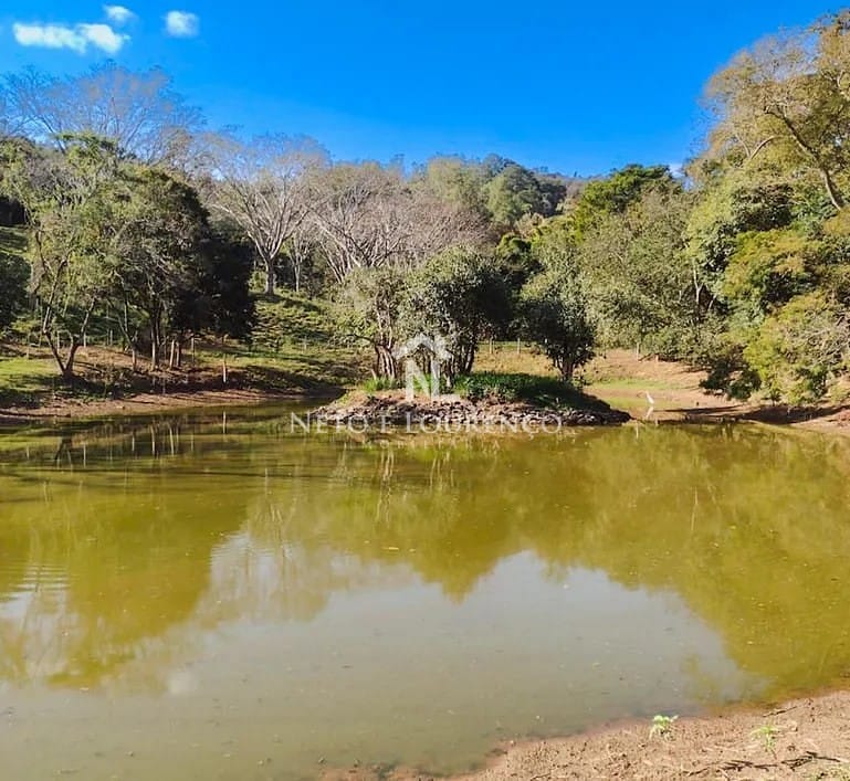 Fazenda à venda com 7 quartos, 10m² - Foto 19