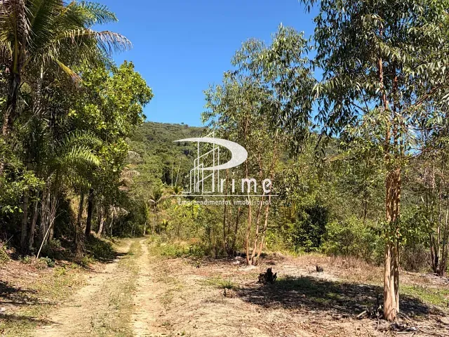 Fazenda com 145200m² 1 quarto e 1 banheiro, à venda, no bairro Gaviões em Silva Jardim
