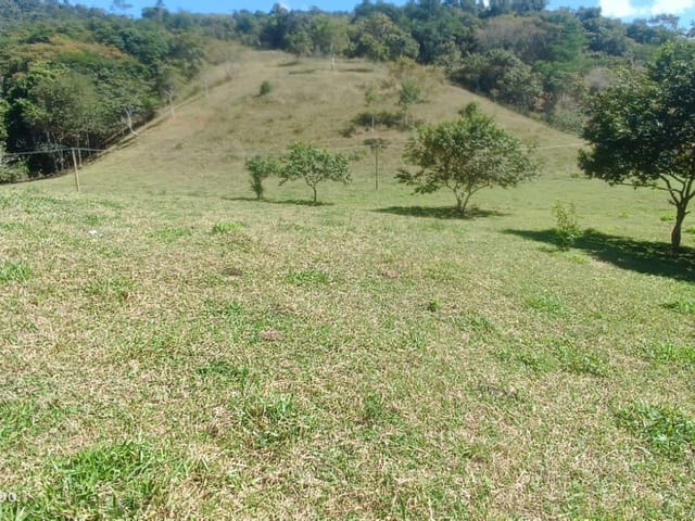 Foto do Fazenda - Fazenda de cacau à venda em Iguaí, BA | Torre Negócios imobiliários