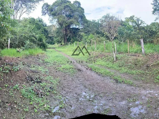 Fazenda à venda, no bairro Castelo Novo em Ilhéus