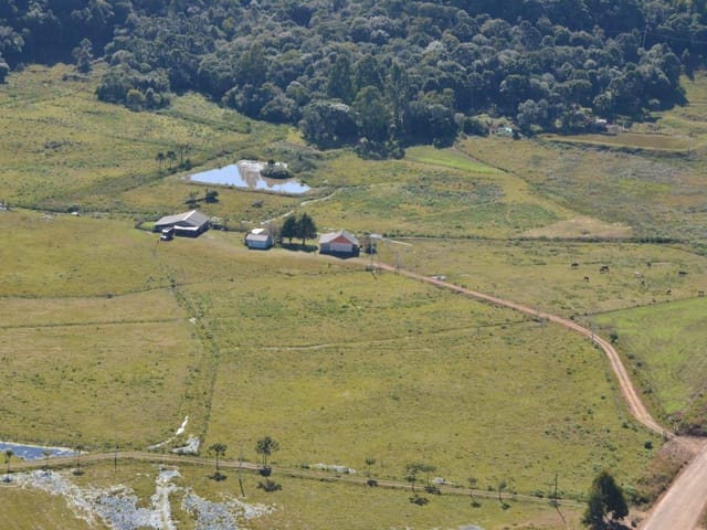 Fazenda com 119990m² 4 quartos e 2 banheiros, à venda, no bairro Fazenda do Barrocão em São Francisco de Paula