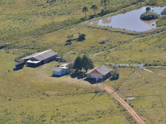 Fazenda com 119990m² 4 quartos e 2 banheiros, à venda, no bairro Fazenda do Barrocão em São Francisco de Paula