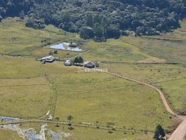 Fazenda com 119990m² 4 quartos e 2 banheiros, à venda, no bairro Fazenda do Barrocão em São Francisco de Paula