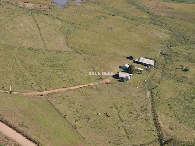 Fazenda com 119990m² 4 quartos e 2 banheiros, à venda, no bairro Fazenda do Barrocão em São Francisco de Paula