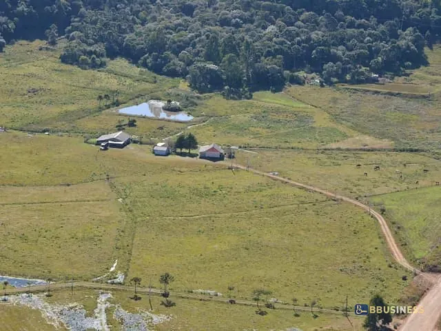Fazenda com 119990m² 4 quartos e 2 banheiros, à venda, no bairro Fazenda do Barrocão em São Francisco de Paula