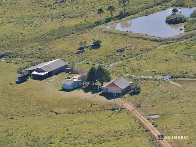 Fazenda com 119990m² 4 quartos e 2 banheiros, à venda, no bairro Fazenda do Barrocão em São Francisco de Paula