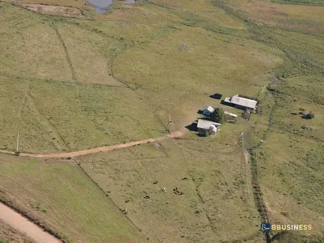 Fazenda com 119990m² 4 quartos e 2 banheiros, à venda, no bairro Fazenda do Barrocão em São Francisco de Paula