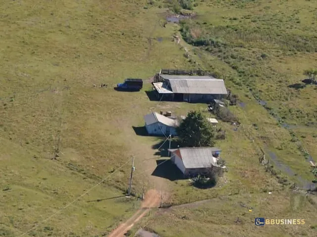 Fazenda com 119990m² 4 quartos e 2 banheiros, à venda, no bairro Fazenda do Barrocão em São Francisco de Paula