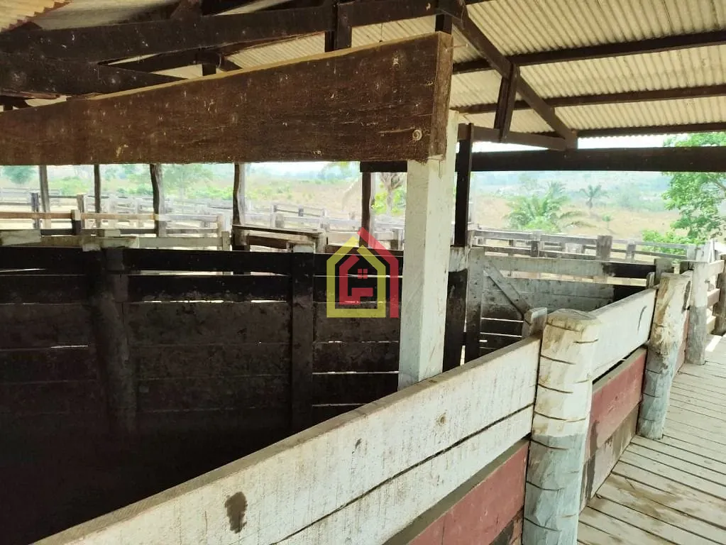Rural à venda com 5033600m² de terreno no Marabá Pioneira, Marabá (PA) — foto 11 de 14
