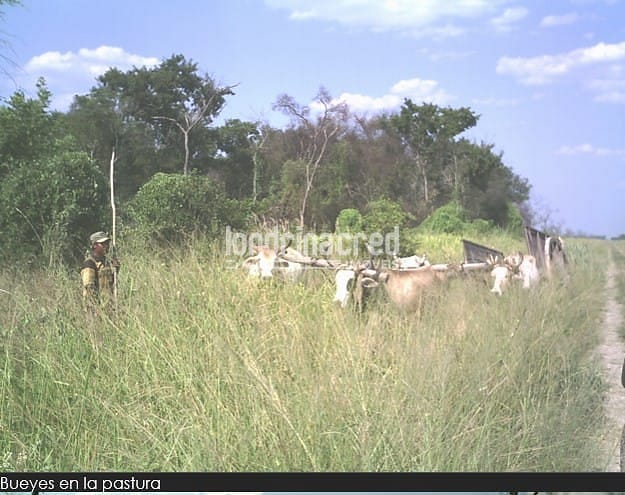 Fazenda, 10 m² - Foto 24