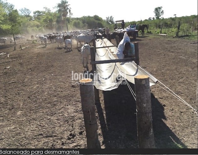 Fazenda, 10 m² - Foto 11