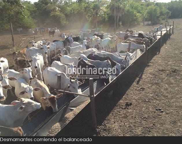 Fazenda, 10 m² - Foto 12