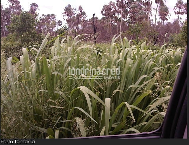 Fazenda, 10 m² - Foto 22