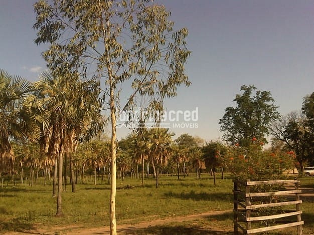 Fazenda, 10 m² - Foto 26