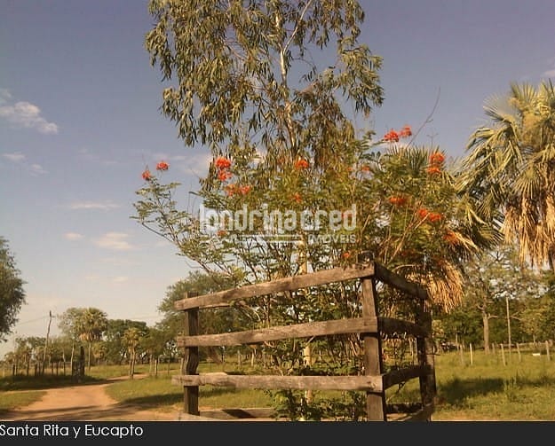 Fazenda, 10 m² - Foto 28