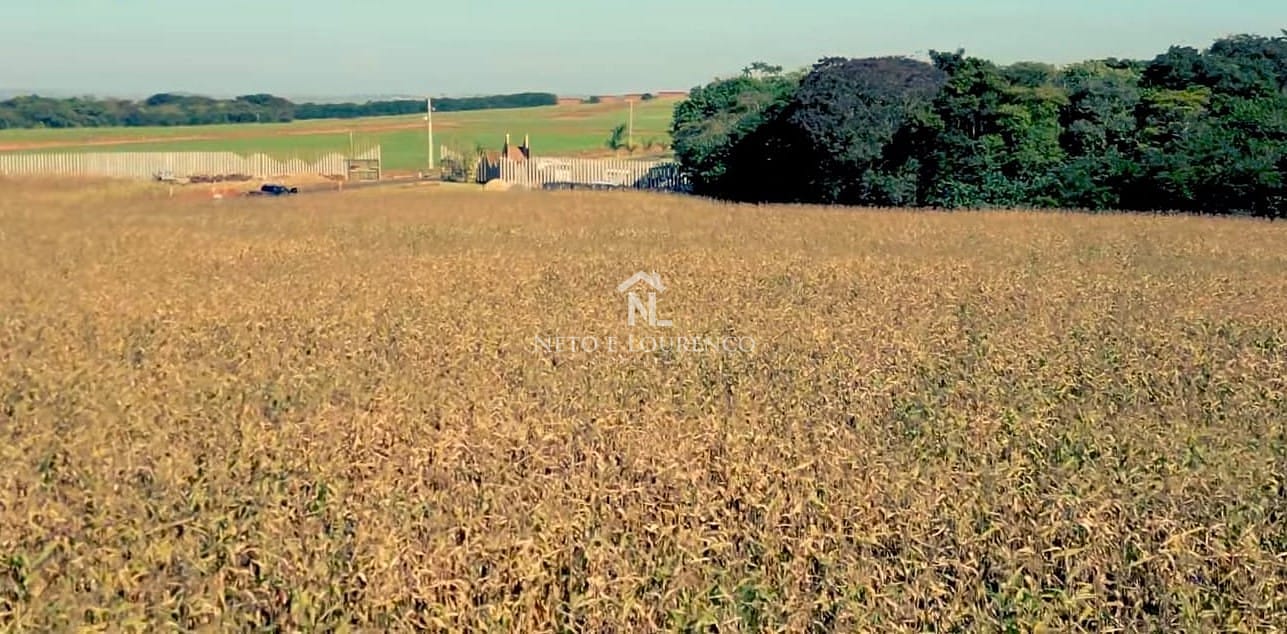Fazenda à venda com 5 quartos, 7260000m² - Foto 15