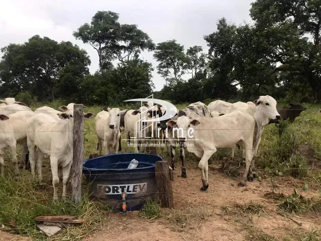 Fazenda com 4840000m² 2 quartos e 2 banheiros, à venda, no bairro Centro em Cocalinho