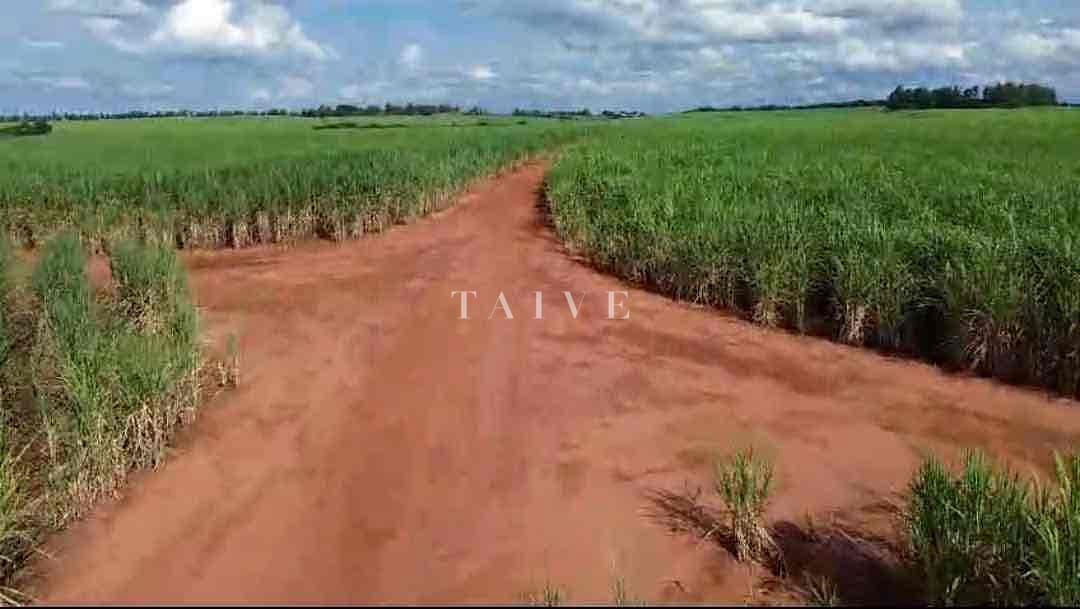 Fazenda-Sítio-Chácara, 542 hectares - Foto 1