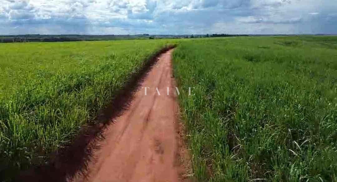 Fazenda-Sítio-Chácara, 542 hectares - Foto 5