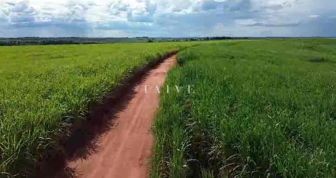 Fazenda-Sítio-Chácara, 542 hectares - Foto 2