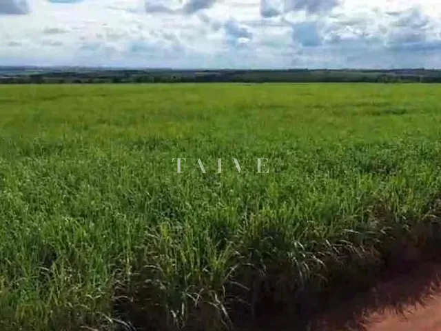 Fazenda com 5420800m², à venda, no bairro Centro em Guaraci