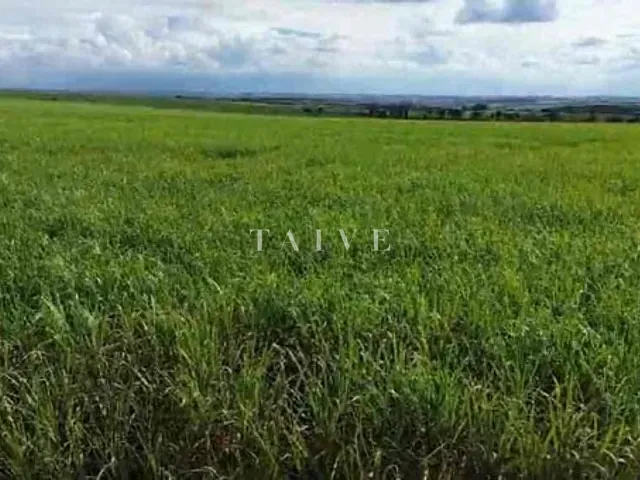 Fazenda com 5420800m², à venda, no bairro Centro em Guaraci