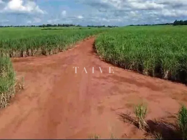 Fazenda com 5420800m², à venda, no bairro Centro em Guaraci