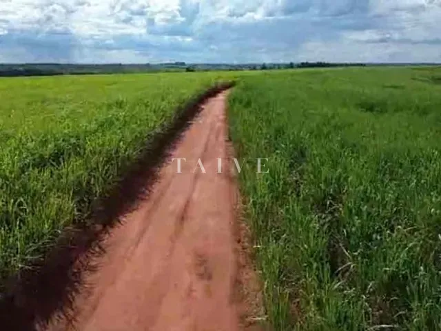 Fazenda com 5420800m², à venda, no bairro Centro em Guaraci