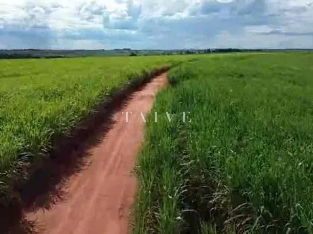 Fazenda com 5420800m², à venda, no bairro Centro em Guaraci