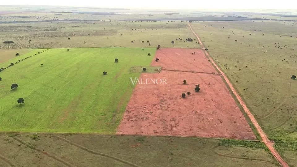 Fazenda, 3256 hectares - Foto 7